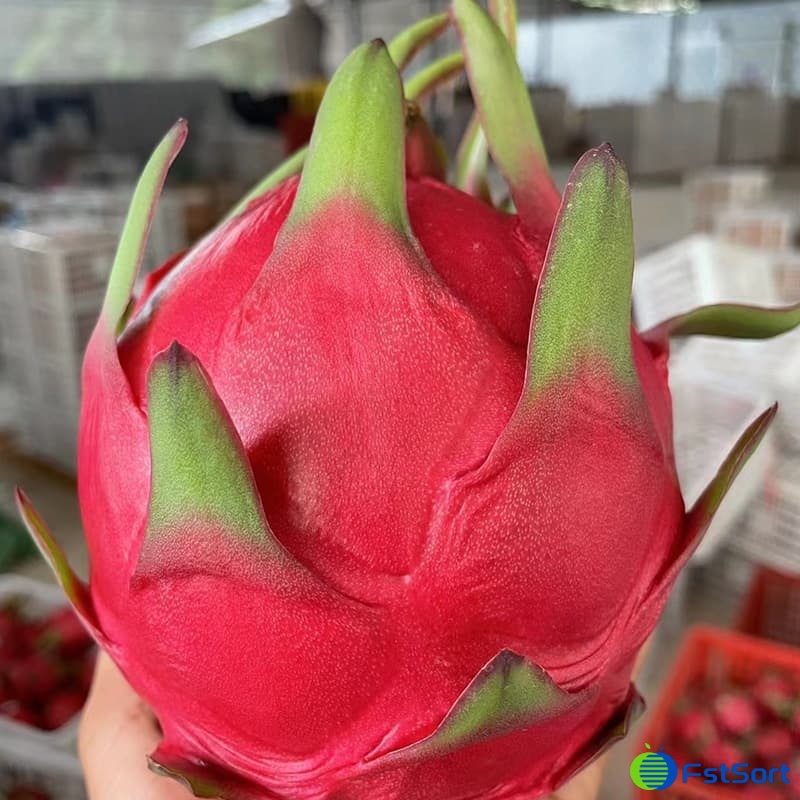 images/1657879268937dragon fruit select machine.jpg